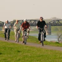 Radfahren in der Elbtalaue