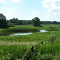 Pevestorf Meadows