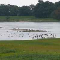 Elbe River Landscape