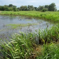 flood plain