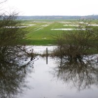 Elbe marsh