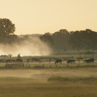 cultural landscape